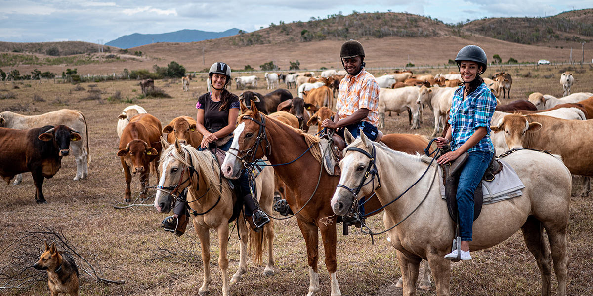 Far West Ranch - Moindou